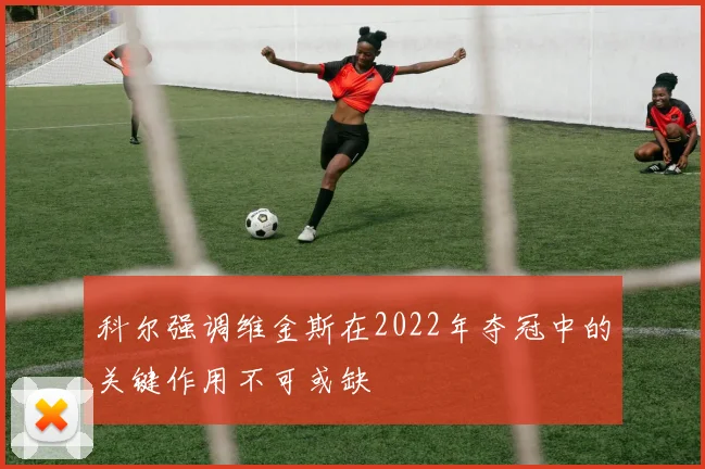 科尔强调维金斯在2022年夺冠中的关键作用不可或缺